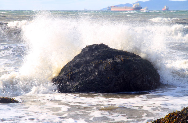 泡沫与海洋图片下载