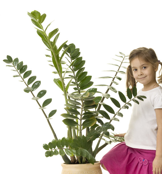 小女孩和大花图片下载