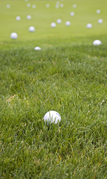 其中一个图片下载