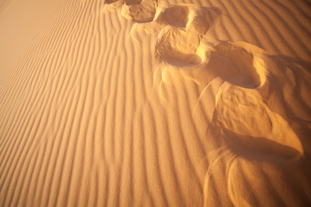 沙漠的土地图片下载