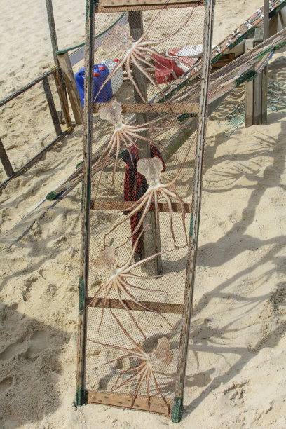 鳕鱼，干鳕鱼葡萄牙传统干燥图片下载