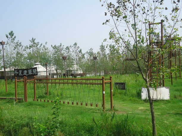 樱桃小bootcamp。图片下载