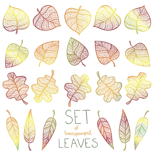 收集多彩的秋叶孤立图片下载