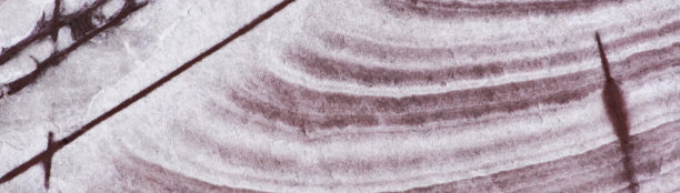 纹理的石头图片下载