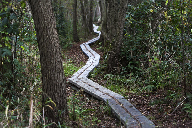 继续跟踪图片下载