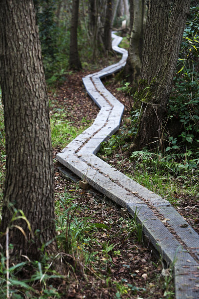 继续跟踪图片下载