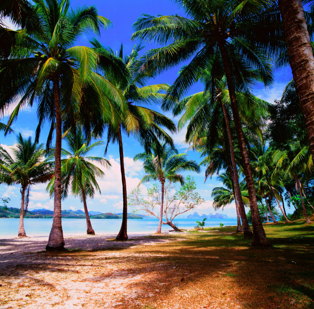 潘嘎岛。图片下载