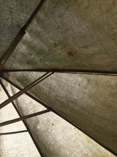 旧雨伞图片下载