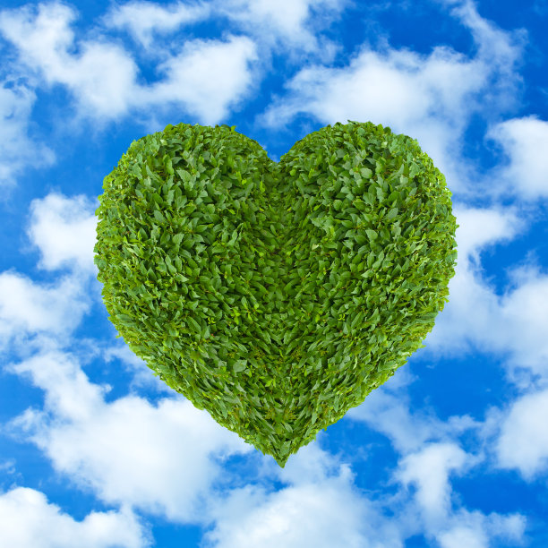 绿叶之心图片下载