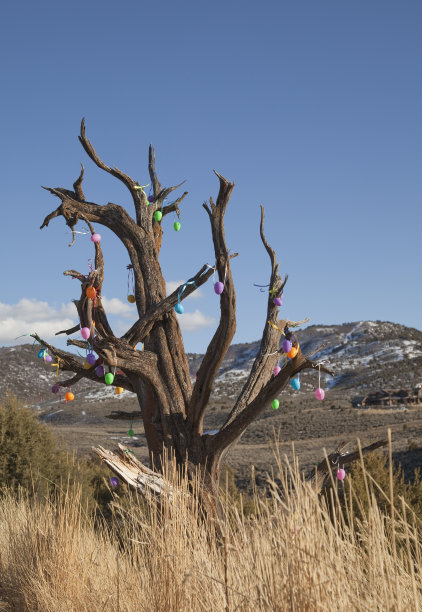 复活节的树图片下载