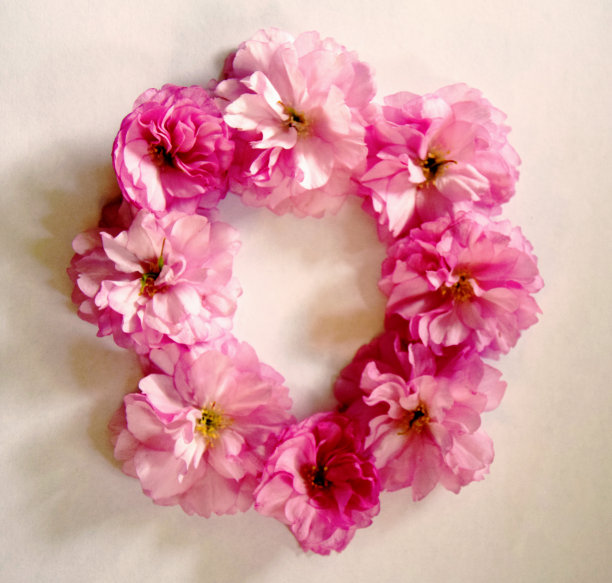 花花环图片下载