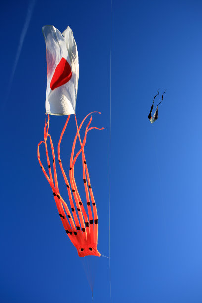 章鱼风筝与日本国旗图片下载