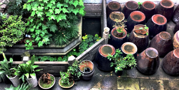 鱼塘旁储存的传统陶土醋桶图片下载