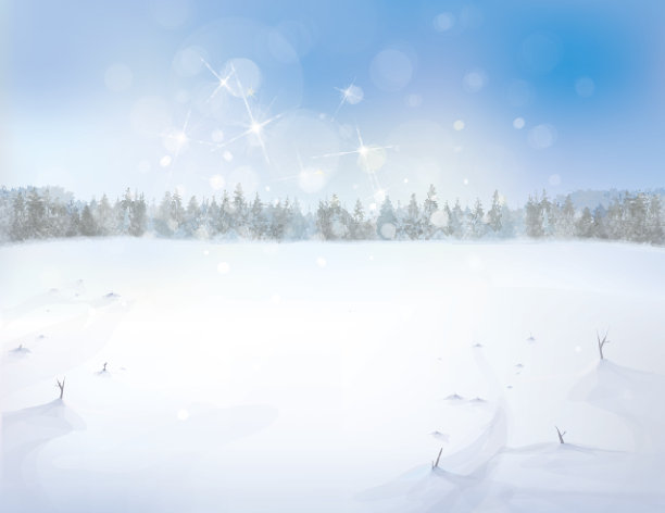 矢量雪景与森林背景。图片下载
