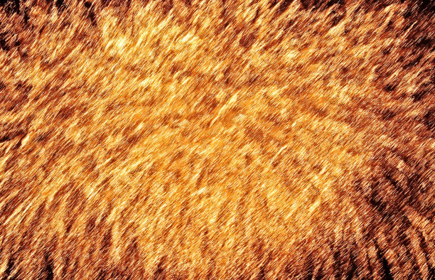 焰火。图片下载