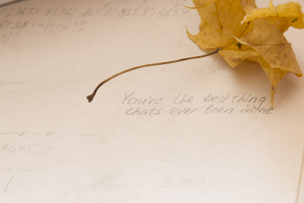 你是我拥有过的最好的东西图片下载