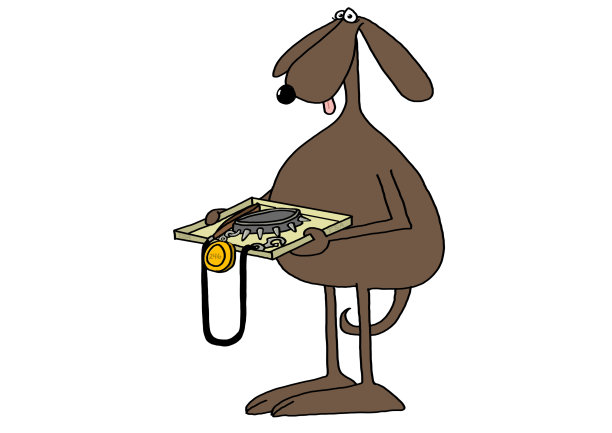 狗狗安全检查图片下载