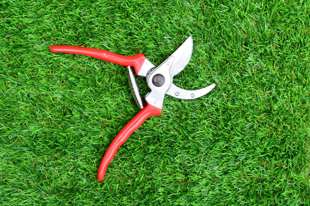 红花园修枝剪图片下载