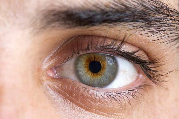 人类的眼睛图片下载