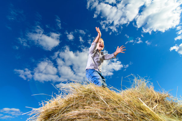 小男孩在一堆干草上尖叫图片下载