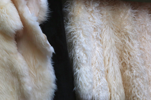 毛皮的背景图片下载