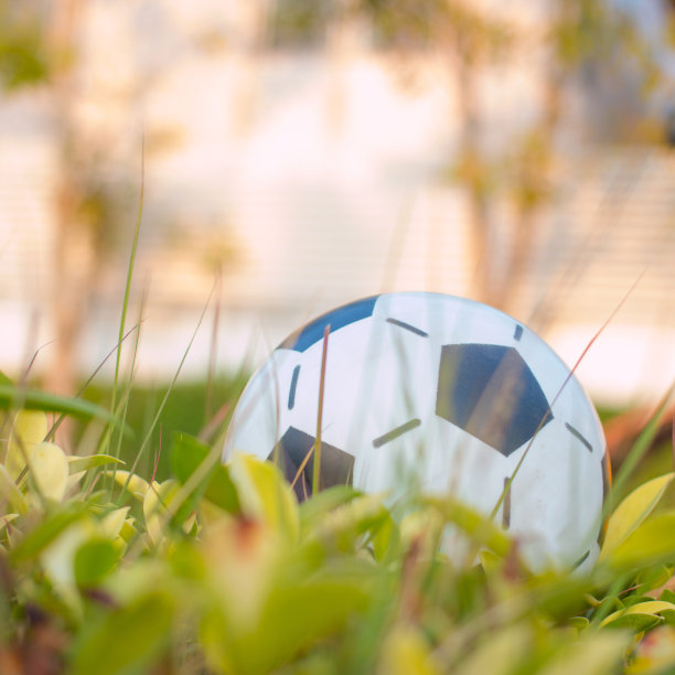 公园里的球图片下载