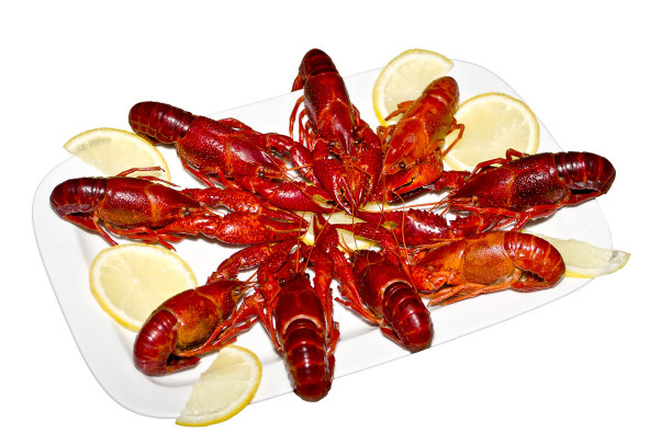 小龙虾图片下载