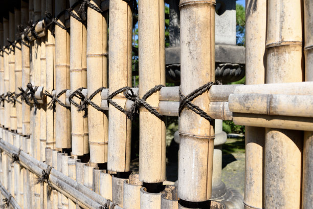 竹篱笆图片下载