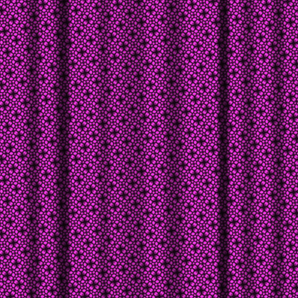 无缝服装用织物图片下载