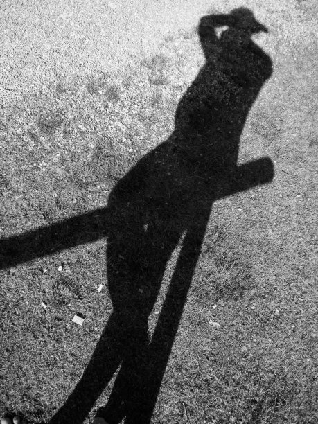 摄影师的影子在栏杆上图片下载