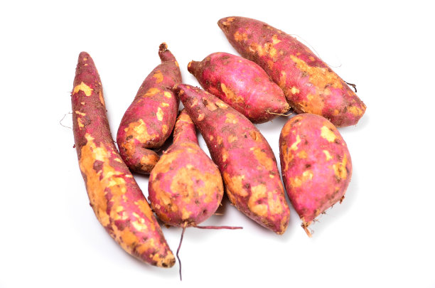 白底上的红薯图片下载
