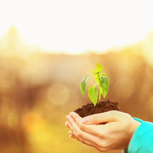 工厂关闭。图片下载