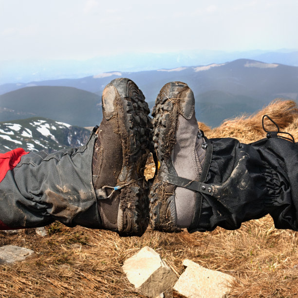 在山中给我五条腿图片下载