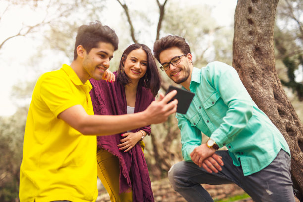 人们在橄榄树下看手机图片下载