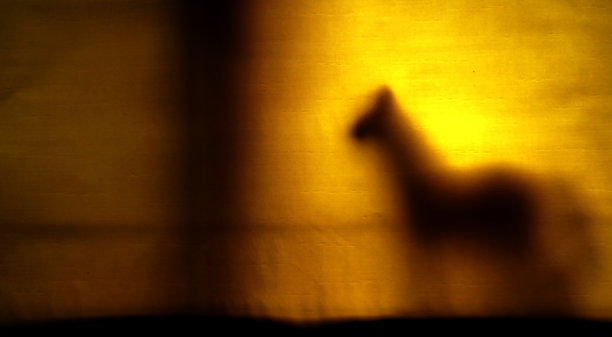 马的影子图片下载