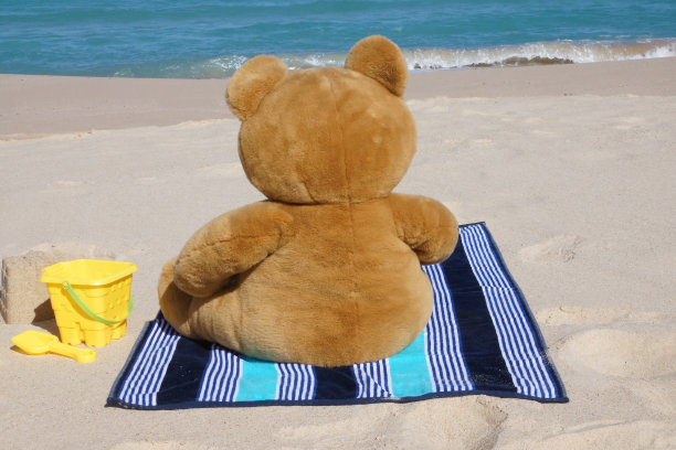 泰迪熊图片下载