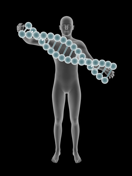 男人和DNA图片下载