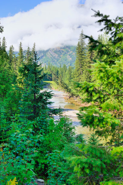 透过树木观赏冰川国家公园的山河图片下载
