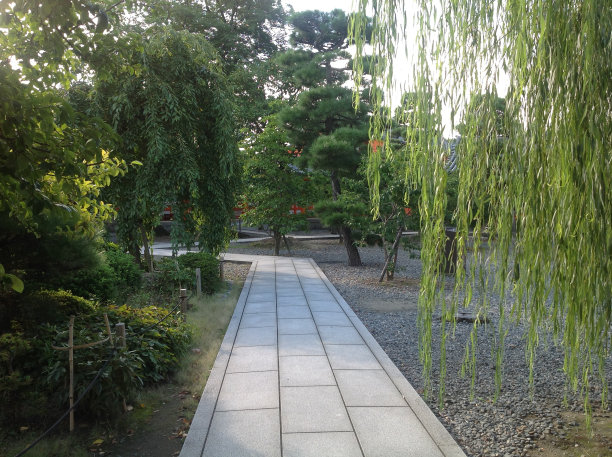 《京都议定书》,秋天,9月图片下载