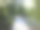 《京都议定书》,秋天,9月图片下载