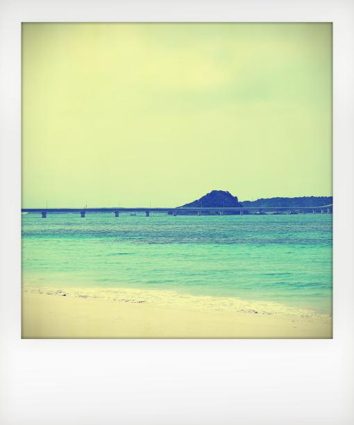 桥与海/复古照片图片图片下载