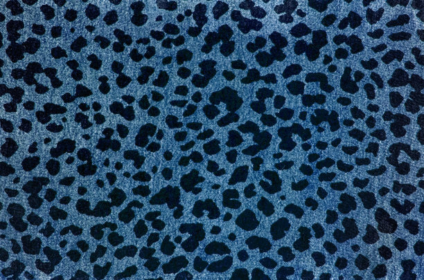 蓝豹模式。图片下载