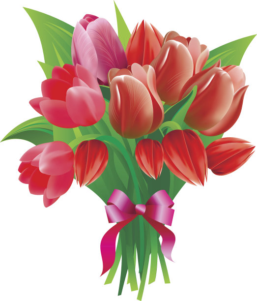 郁金香图片下载