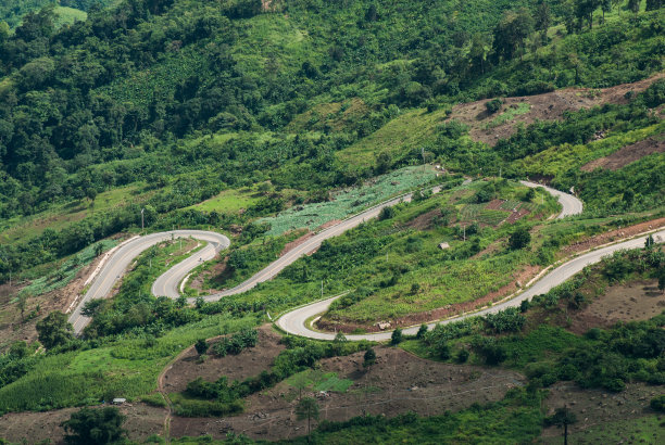 弯弯曲曲的路在森林里。图片下载