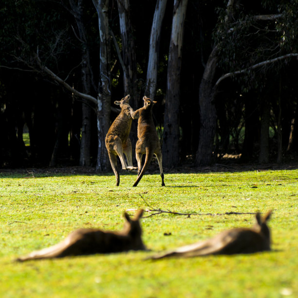 二人组图片下载