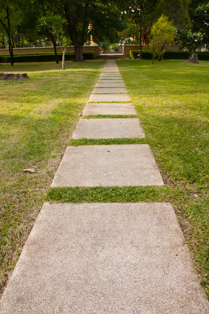 绿色草地上的行走石。图片下载