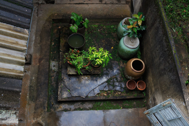 顶视图室外房子雨后与湿水罐图片下载