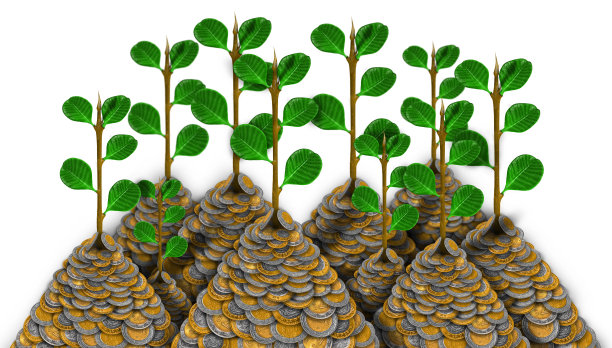 墨西哥比索生长植物图片下载