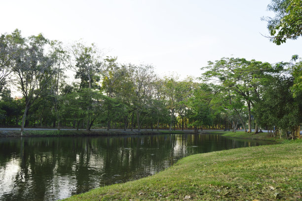城市公园里的绿地图片下载