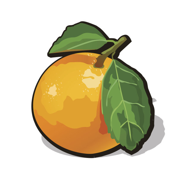 载体新鲜成熟的橙子与叶素材图片